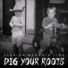 DIG YOUR ROOTS